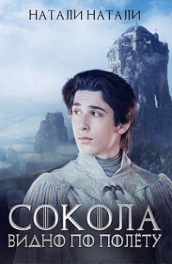 Книга Сокола видно по полёту (СИ)