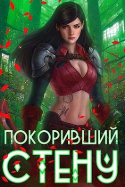 Книга Покоривший СТЕНУ (СИ)