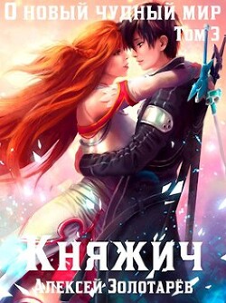 Книга Княжич. Том 3 (СИ)