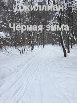 Книга Чёрная зима