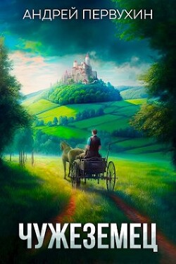 Книга Чужеземец (СИ)