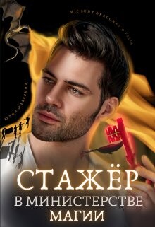 Книга Стажёр в Министерстве Магии (СИ)