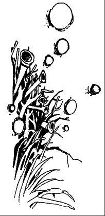 Зуб Уилкинса - _37.png