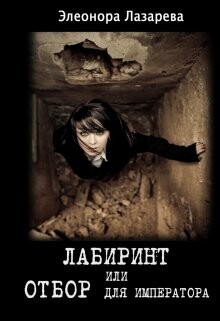 Книга Лабиринт или отбор для Императора (СИ)
