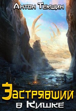 Книга Застрявший в Кишке (СИ)