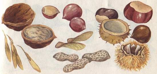 Что можно сделать из природного материала - i_002.jpg