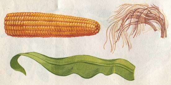 Что можно сделать из природного материала - i_007.jpg