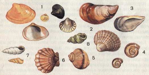 Что можно сделать из природного материала - i_011.jpg