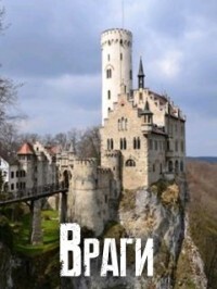 Книга Враги (СИ)
