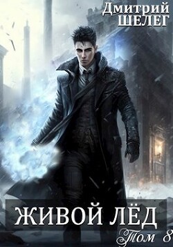Книга ЖЛ 8 (СИ)