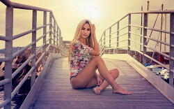 Читать онлайн книгу プーチンはヒトラーに行く автор Рыбаченко Олег Павлович Книга プーチンはヒトラーに行く