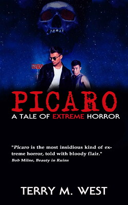 Книга Пикаро (ЛП)