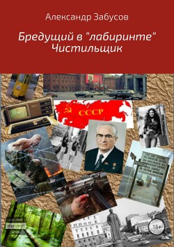 Книга Бредущий в «лабиринте». Книга 2. Чистильщик (СИ)