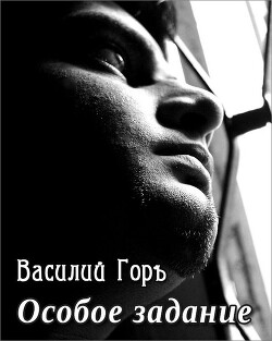 Книга Особое задание (СИ)