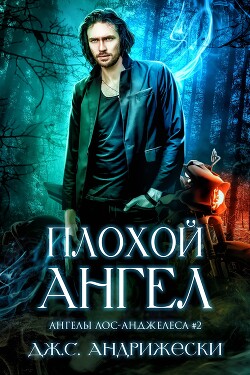 Книга Плохой Ангел (ЛП)