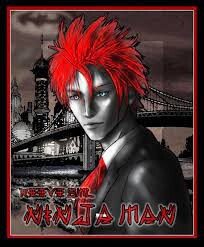 Книга Ниндзямэн (СИ)