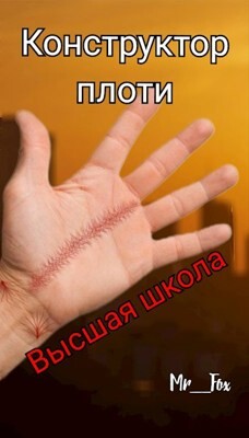 Книга Высшая школа (СИ)