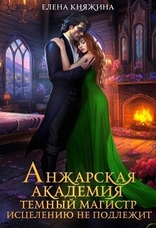 Книга Анжарская академия. Темный магистр исцелению не подлежит (СИ)
