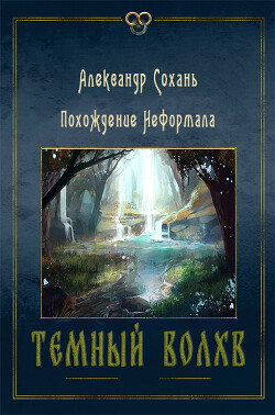 Книга Темный Волхв (СИ)