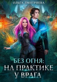 Читать онлайн книгу На практике у врага (СИ) автор Дмитриева Ольга Книга На практике у врага (СИ)