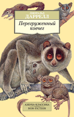 Книга Перегруженный ковчег