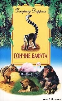 Книга Гончие Бафута