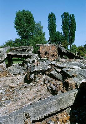 Великая ложь XX века (с дополнительными иллюстрациями) - i28.jpg