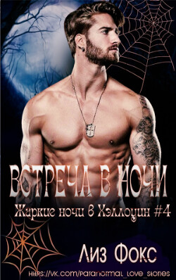 Книга Встреча в ночи (ЛП)