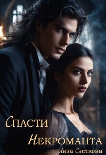 Читать онлайн книгу Спасти некроманта (СИ) автор Светлова Лиза Книга Спасти некроманта (СИ)