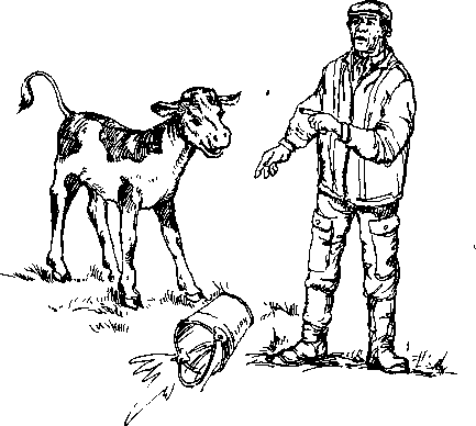 Среди Йоркширских холмов - i_013.png