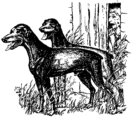 Среди Йоркширских холмов - i_033.png