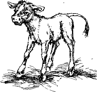 Среди Йоркширских холмов - i_038.png