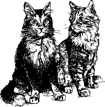 Среди Йоркширских холмов - i_044.png