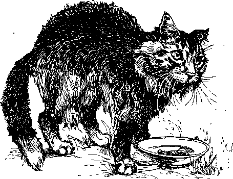 Среди Йоркширских холмов - i_046.png