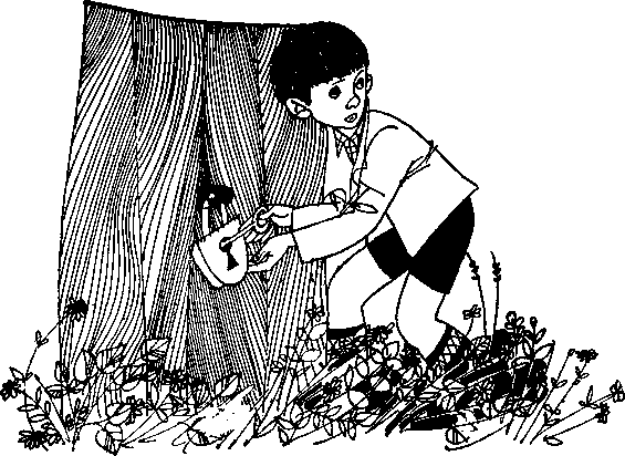 Большая медведица смотрит на город - p0097.png