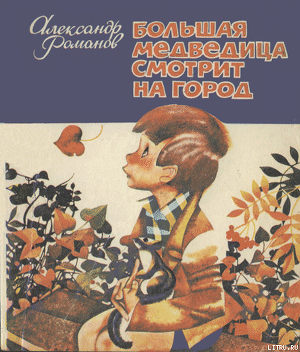 Книга Большая медведица смотрит на город