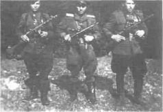 Великая оболганная война-2 - pic_8.jpg