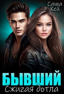 Книга Бывший. Сжигая дотла (СИ)