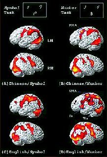 Журнал «Компьютерра» N 27-28 от 25 июля 2006 года - pic_14.jpg