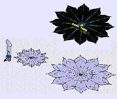 Журнал «Компьютерра» N 27-28 от 25 июля 2006 года - pic_9.jpg