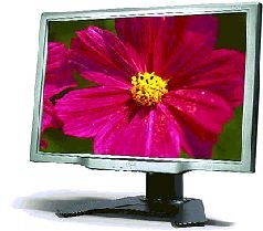 Журнал «Компьютерра» N 27-28 от 25 июля 2006 года - pic_29.jpg