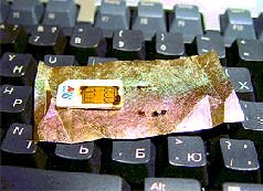 Журнал «Компьютерра» N 31 от 29 августа 2006 года - pic_5.jpg