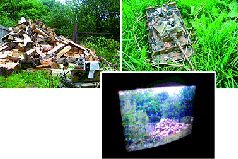Журнал «Компьютерра» N 32 от 5 сентября 2006 года - pic_57.jpg