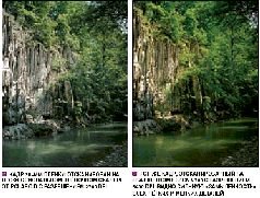 Журнал «Компьютерра» N 36 от 3 октября 2006 года - pic_31.jpg