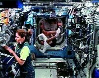 Журнал «Компьютерра» N 37 от 10 октября 2006 года - pic_14.jpg