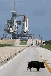 Журнал «Компьютерра» N 42 от 14 ноября 2006 года - pic_10.jpg