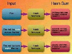 Журнал «Компьютерра» N 9 от 06 марта 2007 года - pic_20.jpg