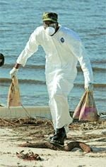 Журнал «Компьютерра» №33 от 13 сентября 2005 года - pic_26.jpg
