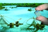 Журнал «Компьютерра» №38 - pic_42.jpg