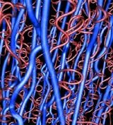 Журнал «Компьютерра» №38 - pic_9.jpg